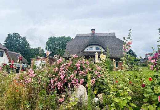 24-07-03 11-56-37 0153